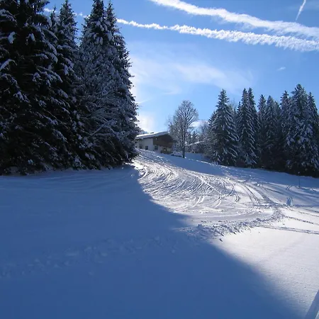 Daire Haus Kaiserblick Scheffau am Wilden Kaiser