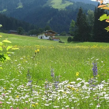 Apartament Haus Kaiserblick Scheffau am Wilden Kaiser
