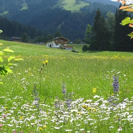 Lägenhet Haus Kaiserblick Scheffau am Wilden Kaiser