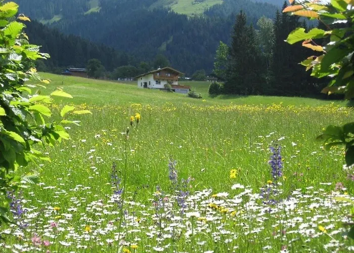 Appartamento Haus Kaiserblick Scheffau am Wilden Kaiser