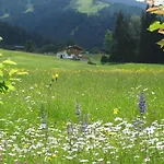 Lägenhet Haus Kaiserblick Scheffau am Wilden Kaiser